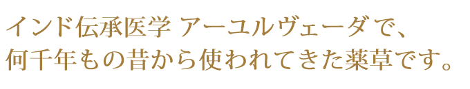 �C���h�`����w�@�A�[�������F�[�_�ŁA����N���̐̂���g���Ă����򑐂ł��B