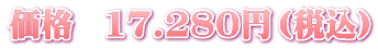 価格　17.280円（税込）